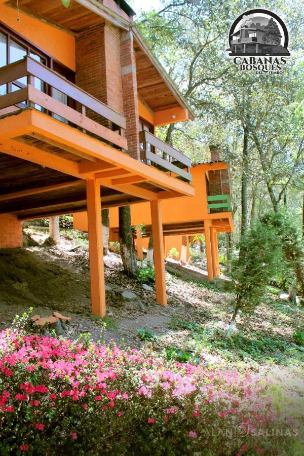 Cabanas Los Bosques Del Zembo Huasca de Ocampo Esterno foto