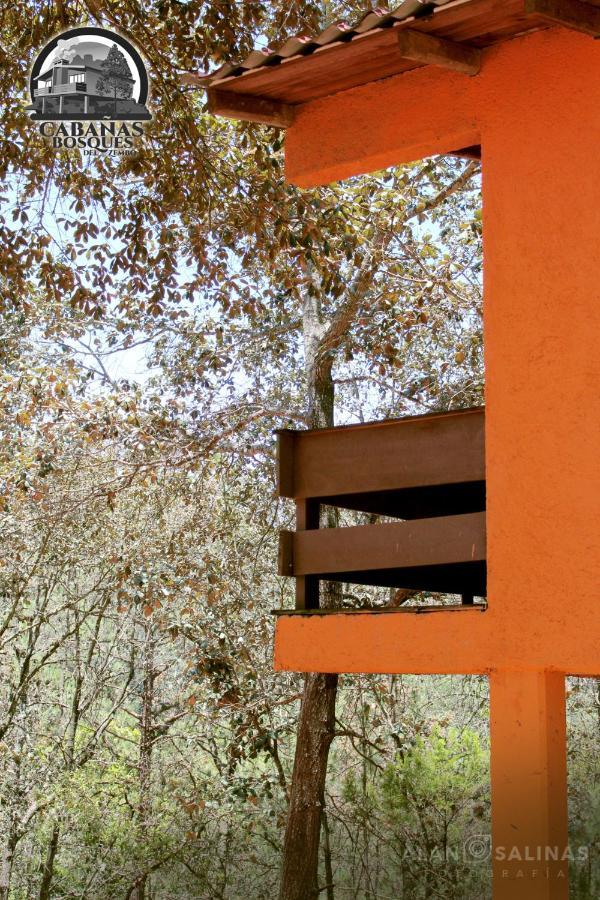 Cabanas Los Bosques Del Zembo Huasca de Ocampo Esterno foto