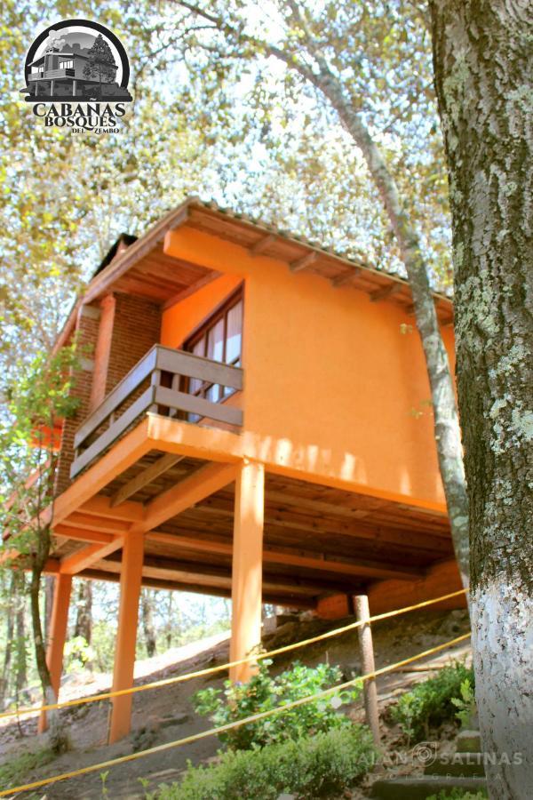 Cabanas Los Bosques Del Zembo Huasca de Ocampo Esterno foto