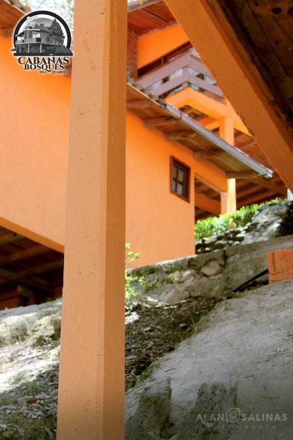 Cabanas Los Bosques Del Zembo Huasca de Ocampo Esterno foto