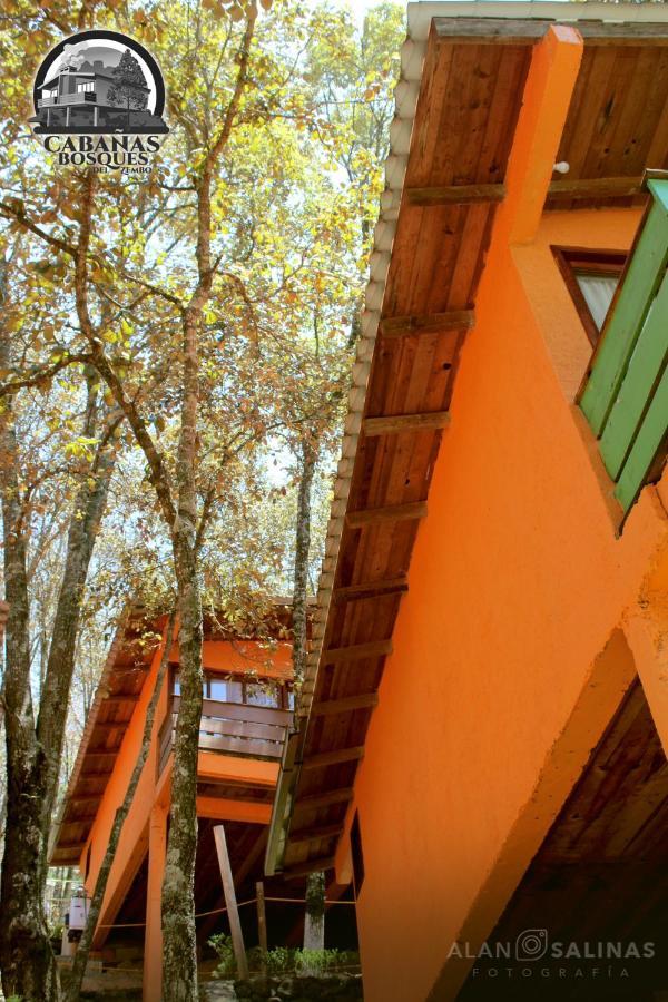 Cabanas Los Bosques Del Zembo Huasca de Ocampo Esterno foto
